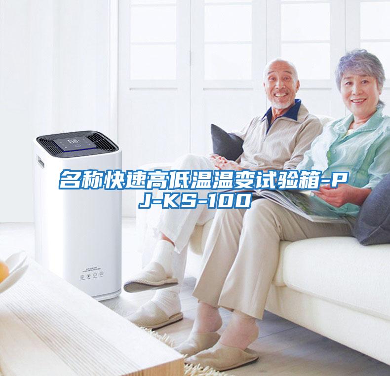 名稱快速高低溫溫變?cè)囼?yàn)箱-PJ-KS-100