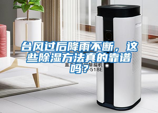 臺(tái)風(fēng)過(guò)后降雨不斷，這些除濕方法真的靠譜嗎？