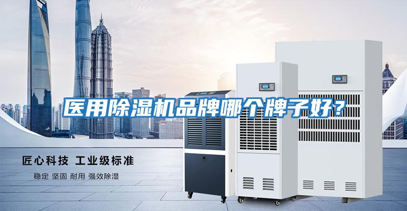 醫用除濕機品牌哪個牌子好?