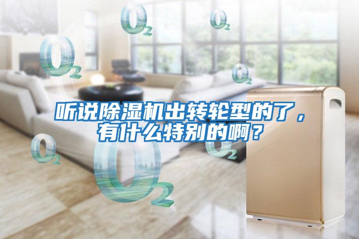 聽說除濕機出轉輪型的了，有什么特別的啊？