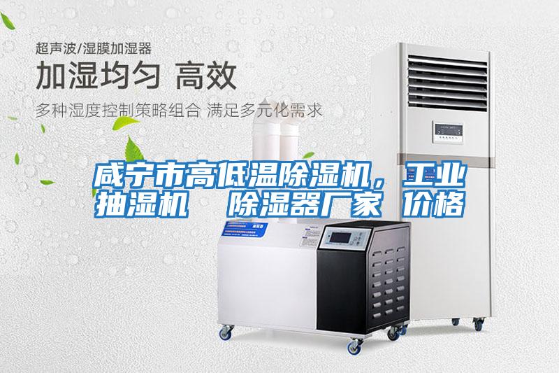 咸寧市高低溫除濕機，工業抽濕機  除濕器廠家 價格
