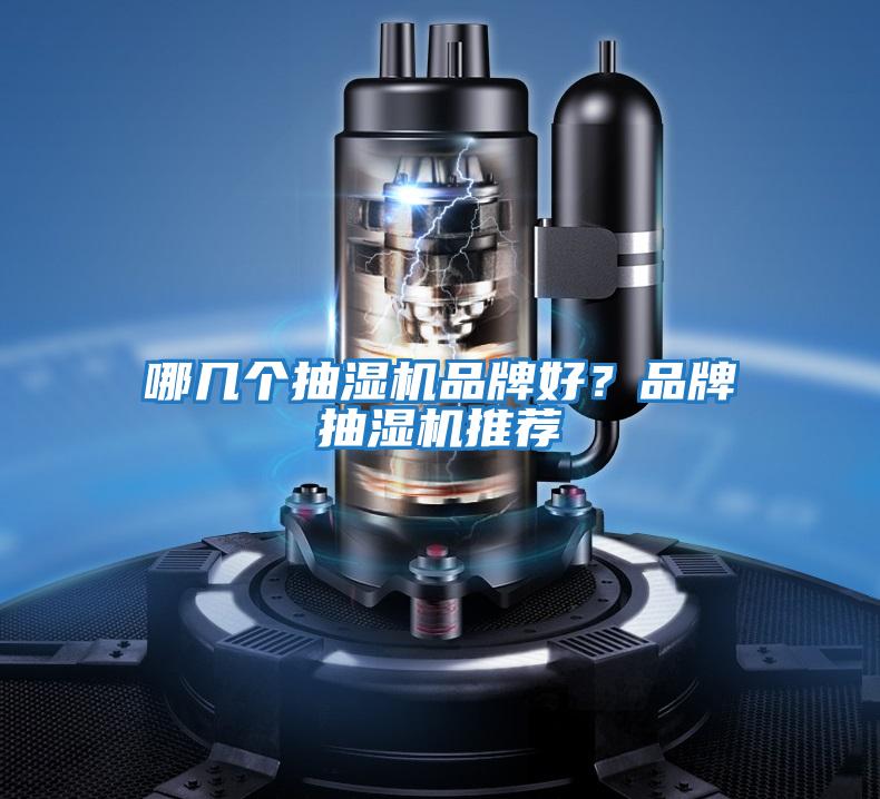 哪幾個(gè)抽濕機(jī)品牌好？品牌抽濕機(jī)推薦
