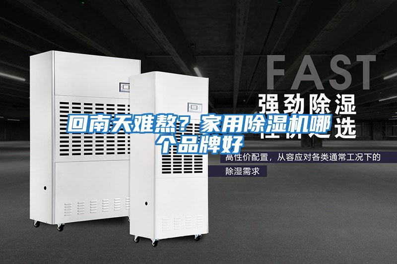 回南天難熬？家用除濕機(jī)哪個(gè)品牌好