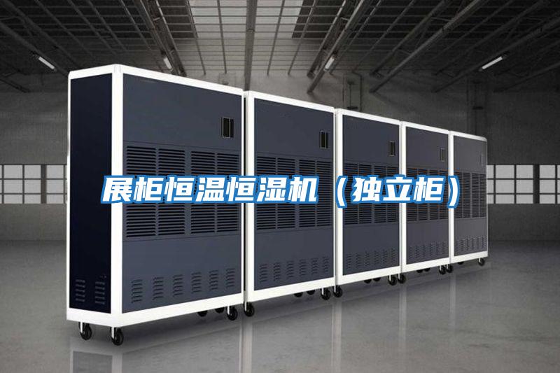 展柜恒溫恒濕機(獨立柜)