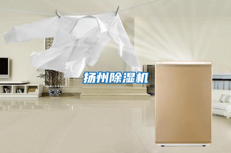 揚州除濕機(jī)