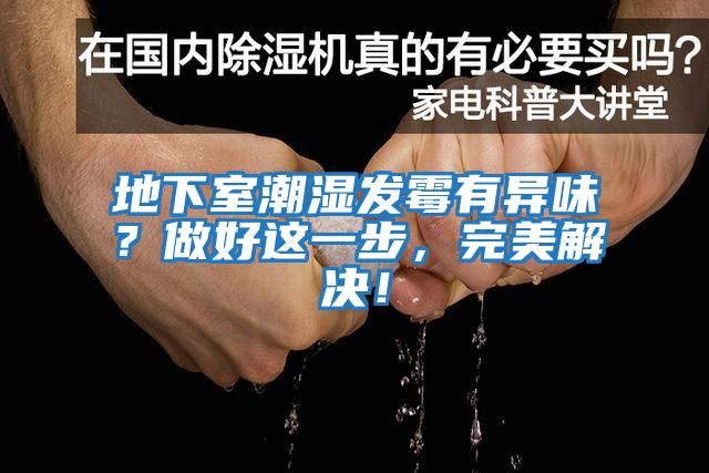 地下室潮濕發霉有異味？做好這一步，完美解決！