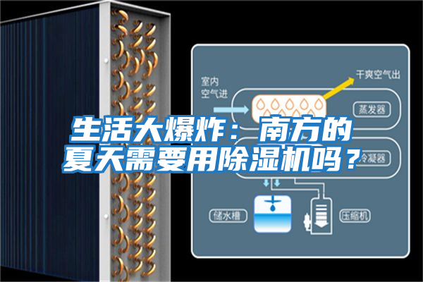 生活大爆炸：南方的夏天需要用除濕機嗎？