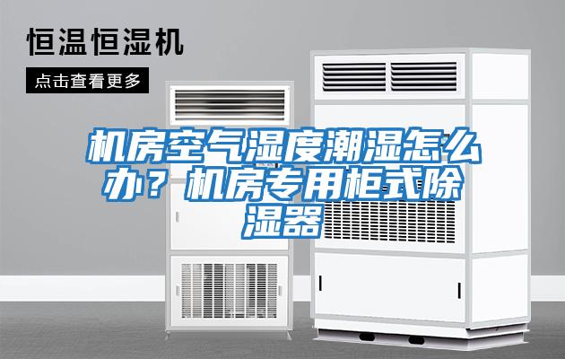 機房空氣濕度潮濕怎么辦？機房專用柜式除濕器