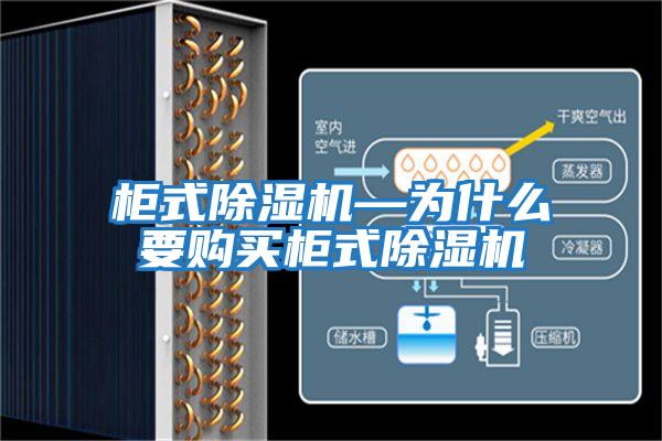 柜式除濕機(jī)—為什么要購(gòu)買柜式除濕機(jī)