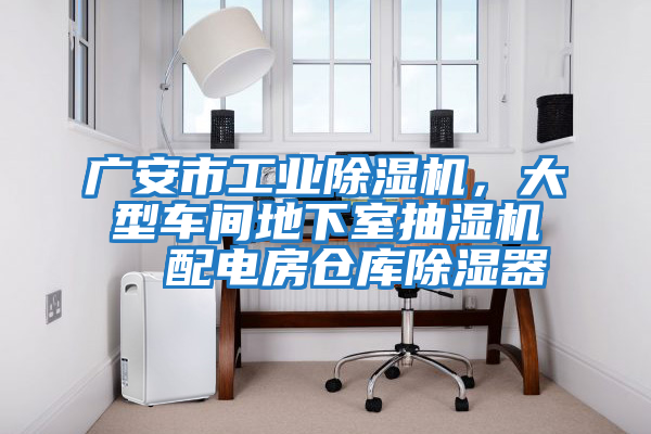 廣安市工業(yè)除濕機(jī)，大型車間地下室抽濕機(jī)  配電房倉(cāng)庫(kù)除濕器