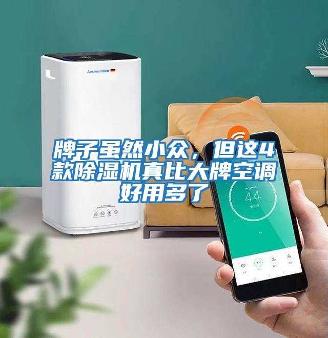牌子雖然小眾，但這4款除濕機真比大牌空調(diào)好用多了