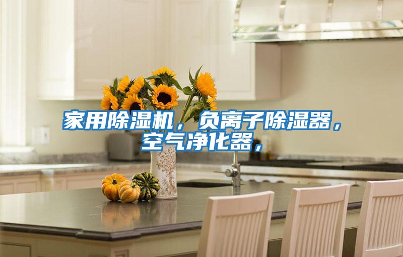 家用除濕機(jī)，負(fù)離子除濕器，空氣凈化器，