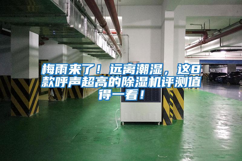 梅雨來了！遠(yuǎn)離潮濕，這8款呼聲超高的除濕機(jī)評測值得一看！