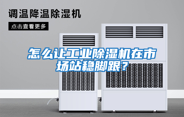 怎么讓工業(yè)除濕機在市場站穩(wěn)腳跟？
