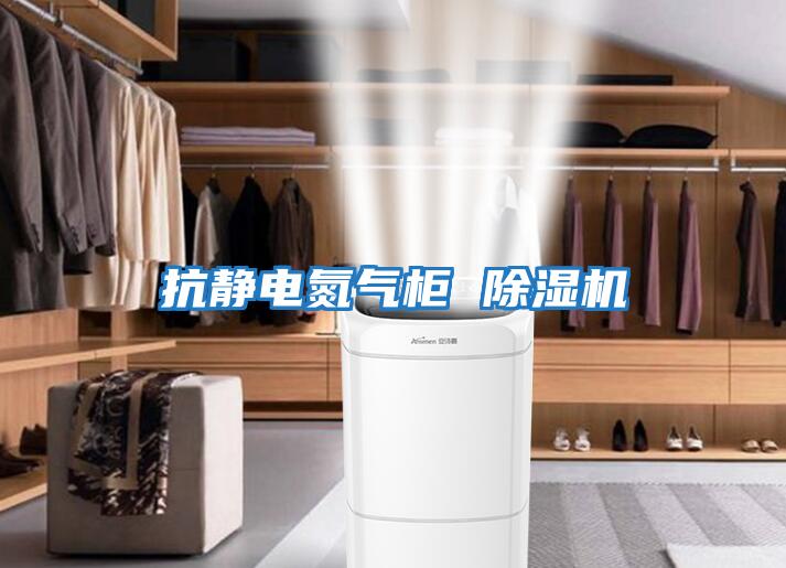 抗靜電氮氣柜 除濕機(jī)