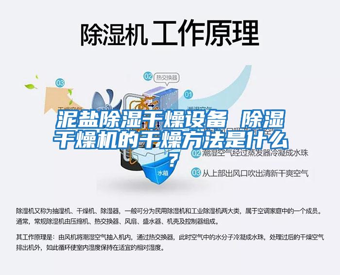 泥鹽除濕干燥設(shè)備 除濕干燥機的干燥方法是什么？