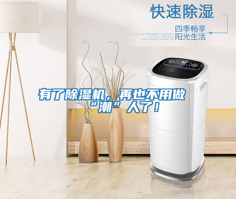 有了除濕機，再也不用做“潮”人了！