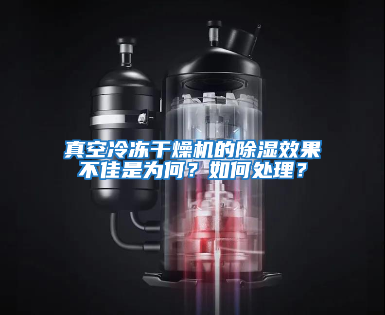 真空冷凍干燥機的除濕效果不佳是為何？如何處理？