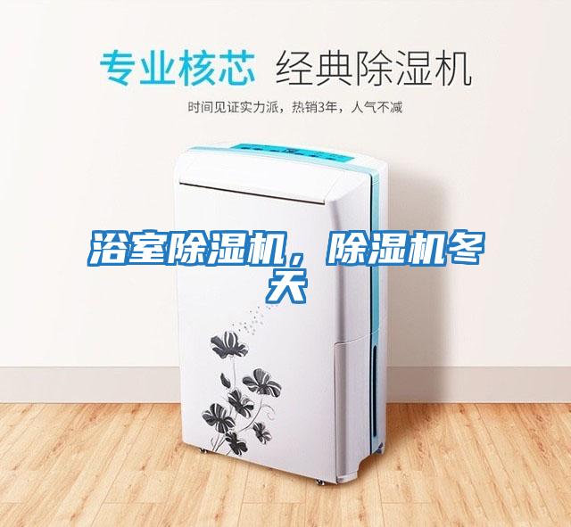 浴室除濕機，除濕機冬天