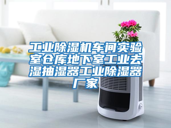 工業(yè)除濕機(jī)車間實驗室倉庫地下室工業(yè)去濕抽濕器工業(yè)除濕器廠家