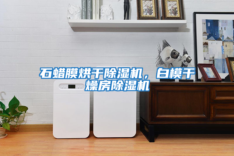 石蠟?zāi)ず娓沙凉駲C(jī)，白模干燥房除濕機(jī)