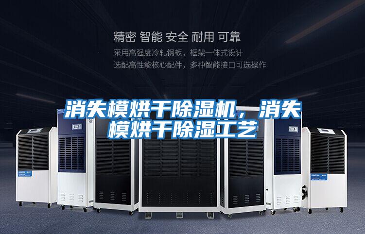 消失模烘干除濕機，消失模烘干除濕工藝