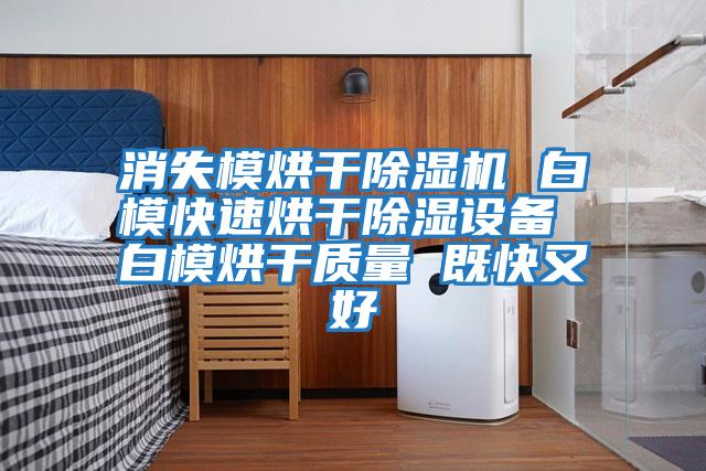 消失模烘干除濕機 白?？焖俸娓沙凉裨O備 白模烘干質量 既快又好