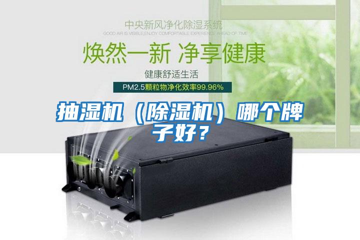 抽濕機（除濕機）哪個牌子好？