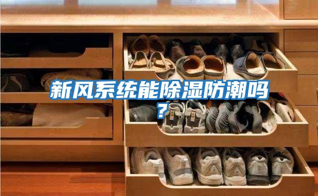 新風系統能除濕防潮嗎？