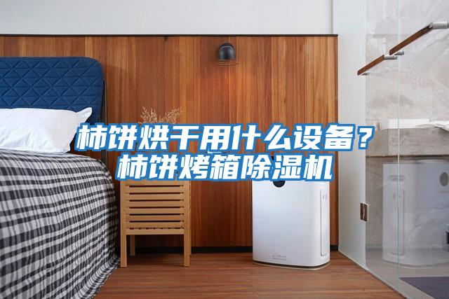 柿餅烘干用什么設(shè)備？柿餅烤箱除濕機