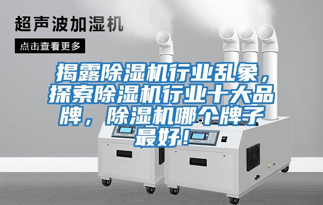 揭露除濕機行業亂象，探索除濕機行業十大品牌，除濕機哪個牌子最好！