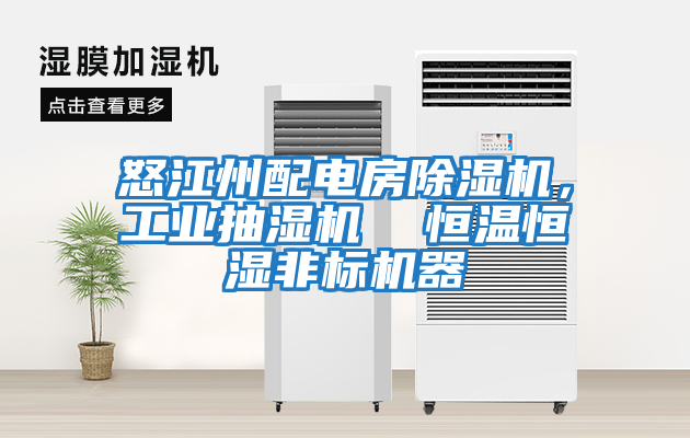 怒江州配電房除濕機，工業抽濕機  恒溫恒濕非標機器
