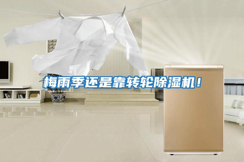 梅雨季還是靠轉輪除濕機！