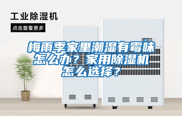 梅雨季家里潮濕有霉味怎么辦？家用除濕機怎么選擇？
