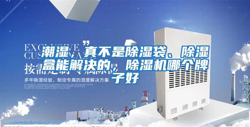潮濕，真不是除濕袋、除濕盒能解決的，除濕機哪個牌子好