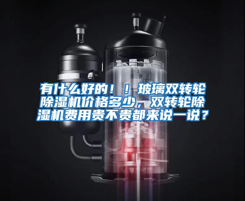 有什么好的！！玻璃雙轉(zhuǎn)輪除濕機價格多少，雙轉(zhuǎn)輪除濕機費用貴不貴都來說一說？