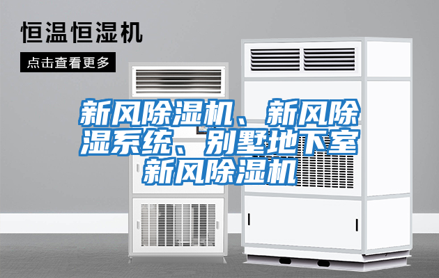 新風除濕機、新風除濕系統、別墅地下室新風除濕機