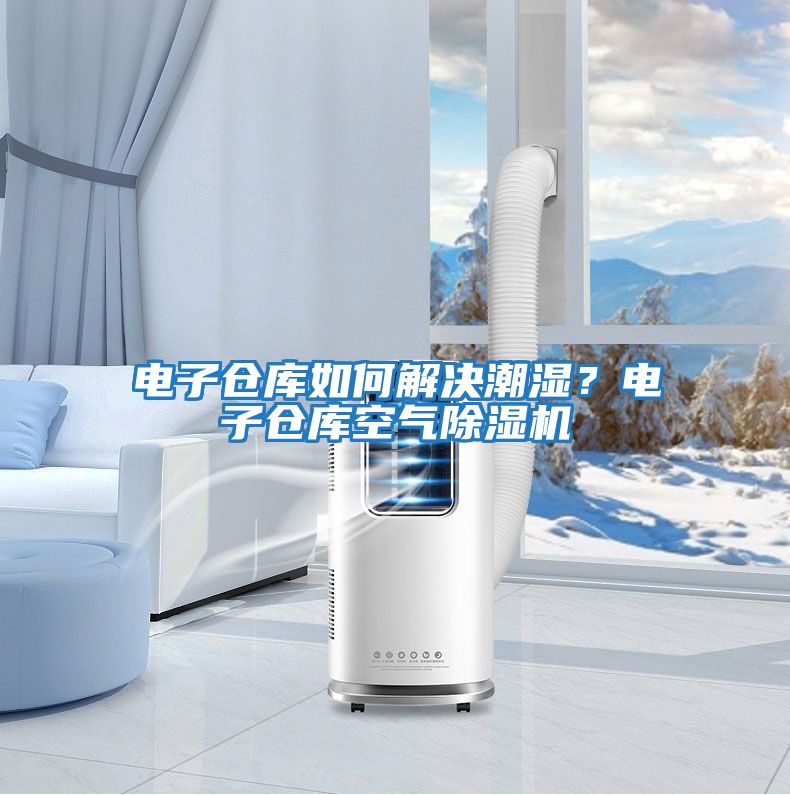 電子倉(cāng)庫(kù)如何解決潮濕？電子倉(cāng)庫(kù)空氣除濕機(jī)