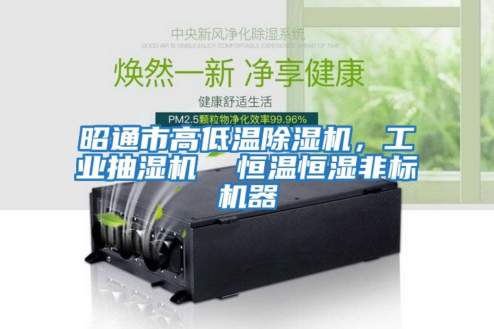 昭通市高低溫除濕機，工業(yè)抽濕機  恒溫恒濕非標(biāo)機器