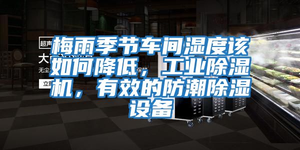 梅雨季節(jié)車間濕度該如何降低，工業(yè)除濕機(jī)，有效的防潮除濕設(shè)備