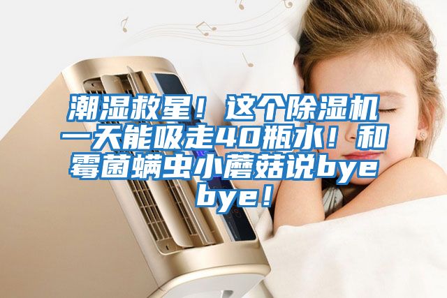 潮濕救星！這個(gè)除濕機(jī)一天能吸走40瓶水！和霉菌螨蟲小蘑菇說bye bye！