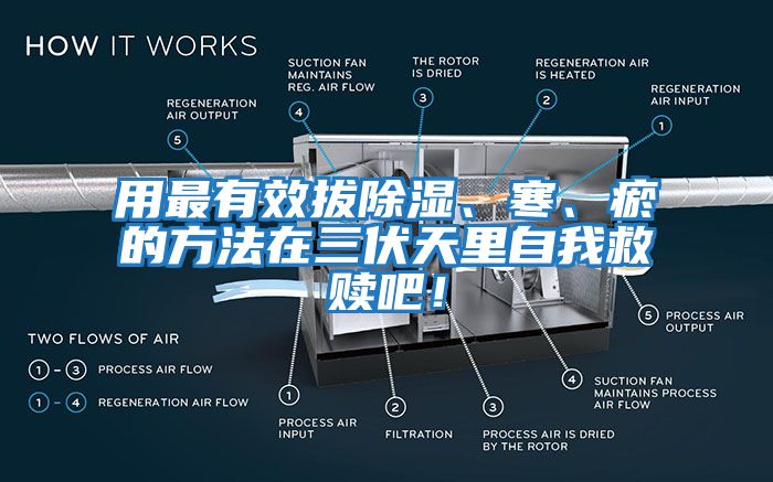 用最有效拔除濕、寒、瘀的方法在三伏天里自我救贖吧！