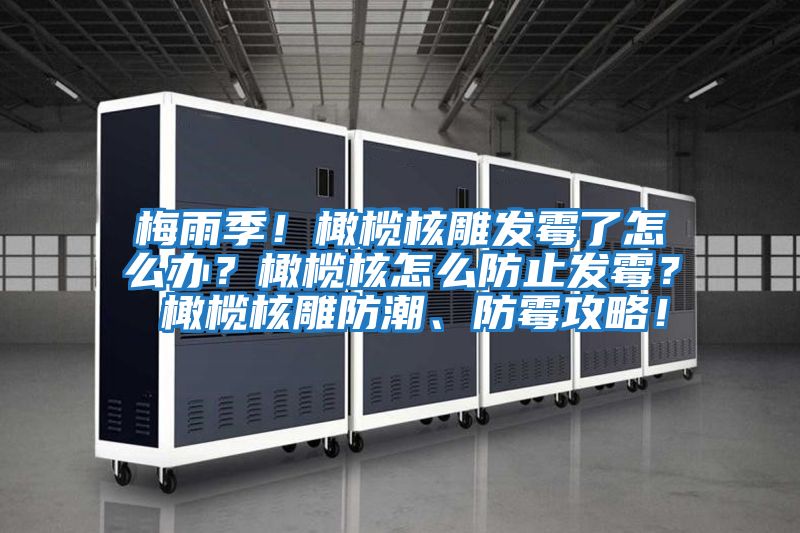 梅雨季！橄欖核雕發霉了怎么辦？橄欖核怎么防止發霉？ 橄欖核雕防潮、防霉攻略！