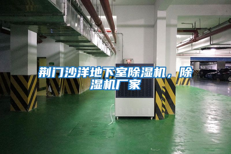 荊門沙洋地下室除濕機，除濕機廠家