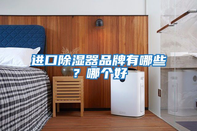 進口除濕器品牌有哪些？哪個好
