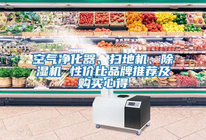 空氣凈化器、掃地機(jī)、除濕機(jī) 性價(jià)比品牌推薦及購買心得