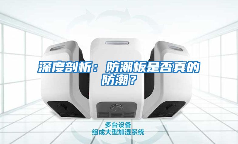 深度剖析：防潮板是否真的防潮？