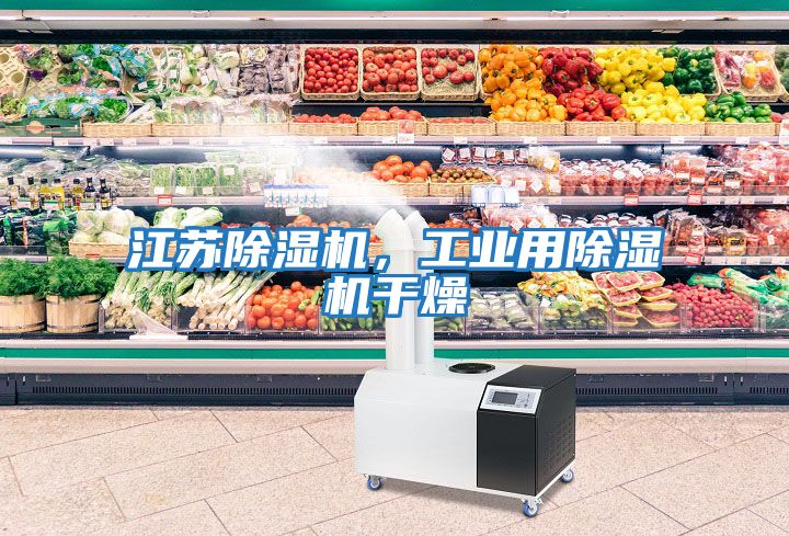 江蘇除濕機，工業用除濕機干燥