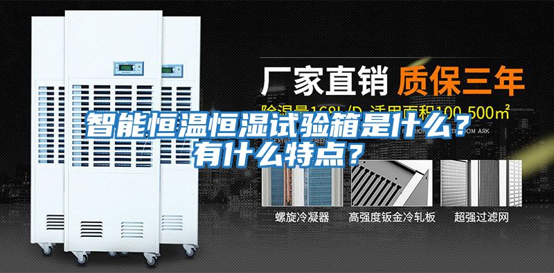 智能恒溫恒濕試驗(yàn)箱是什么？有什么特點(diǎn)？