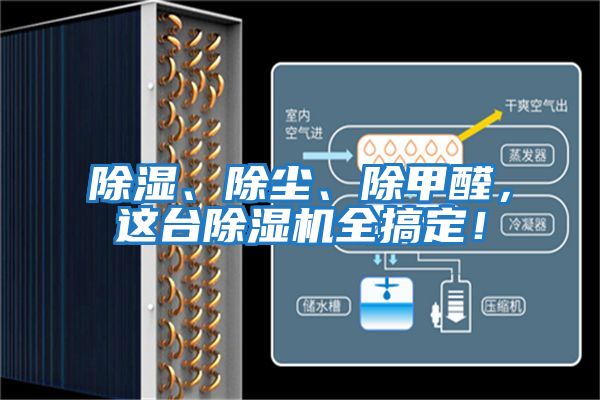 除濕、除塵、除甲醛，這臺除濕機全搞定！